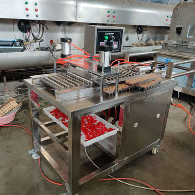 Полуавтоматическая мягкая жесткая пектиновая желетина и гумонозная медвежья конфета изготовительная машина с мощностью 1,5 кВт