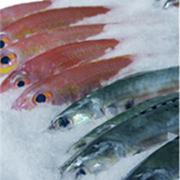 Онлайн-поддержка Устойчивая машина для создания ледяного слизи для самолетов на борту / на суше