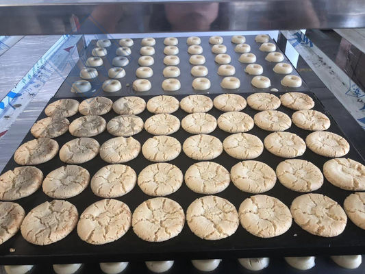 Промышленный многофункциональный печенье печенье с многофункциональным функционалом