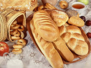 Пищевая машина одноступенчатая вращающаяся печь для печенья печенье пироги и хлеб по доступной цене